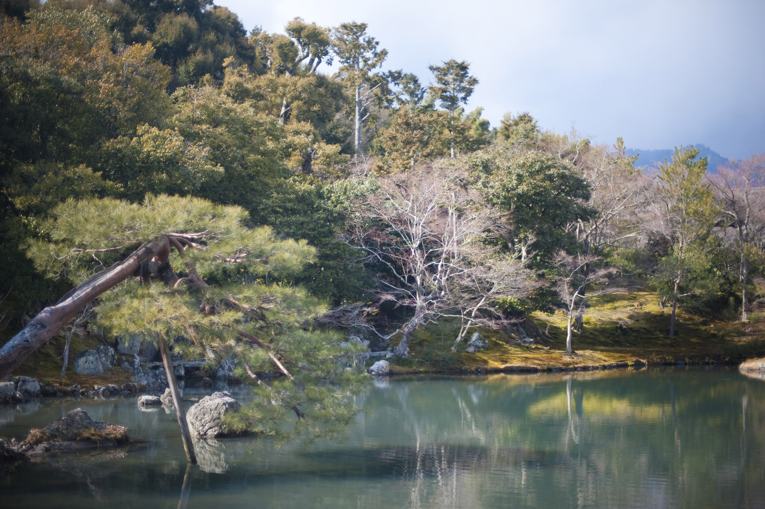 Calm Zen Garden