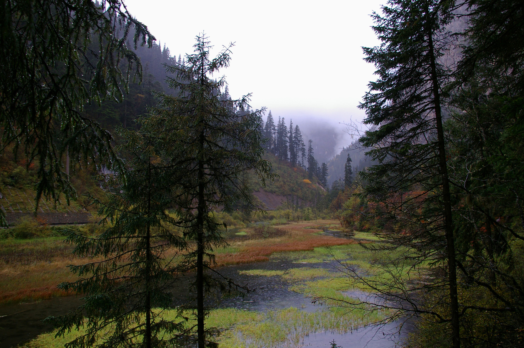 Nature3854