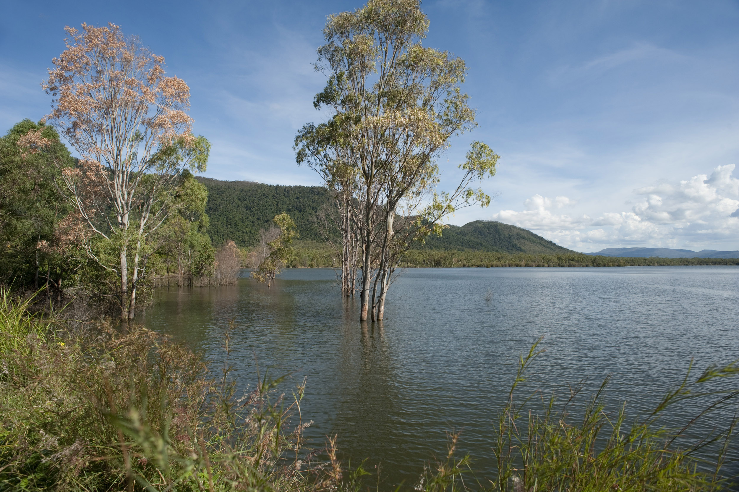Peaceful Lake