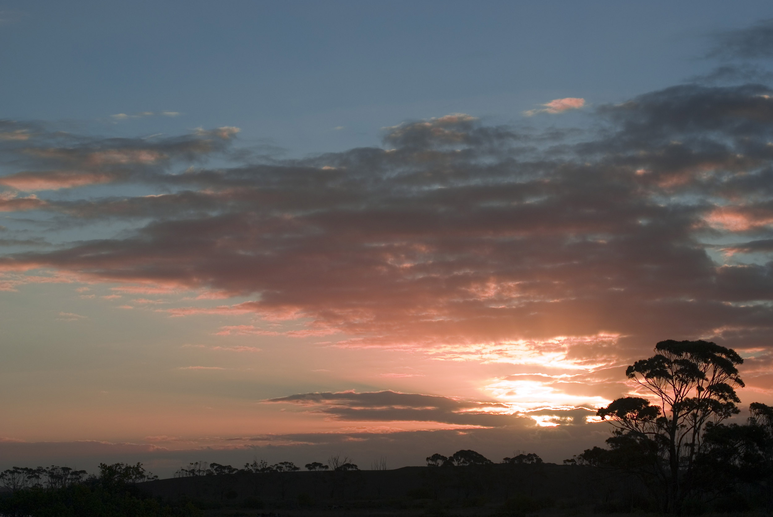 Sunset Sky